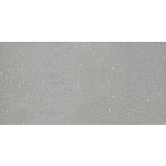 Halve betontegel 30x15x6 cm Grijs