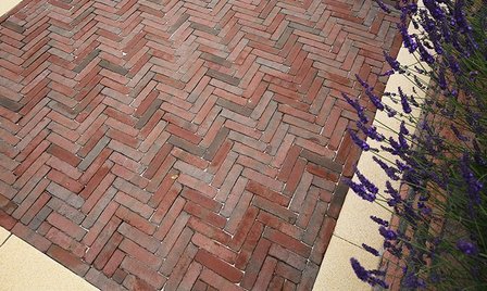 Art Bricks Waalformaat 5x20x6,5cm bosch rood/paars sfeer