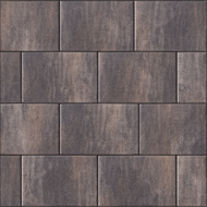 Tremico 6cm 20x30cm Drents Bont | Paviment