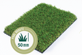 Gras van de Buren  Sempre 200 cm l Paviment.nl