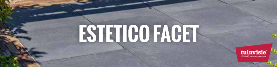 Estetico facet Estetico-facet
