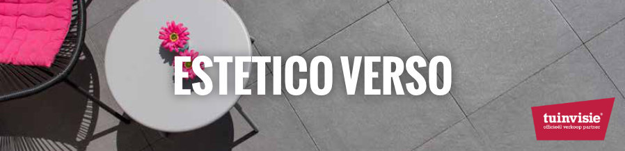 Estetico verso Estetico-verso