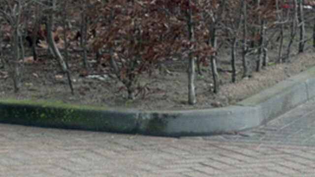 Wat is de groene aanslag op mijn tegels?