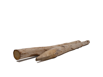 Kastanjepaal geschild en gepunt 160xØ8/10 cm Kastanjepaal geschild en gepunt 160xØ8/10 cm