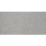 Halve betontegel 30x15x6 cm Grijs Halve betontegel 30x15x6 cm Grijs